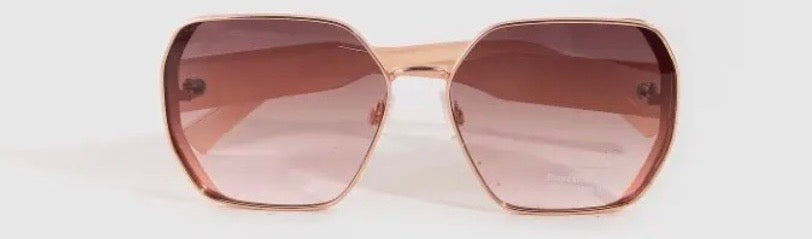 The Metallic Frame Sunglasses